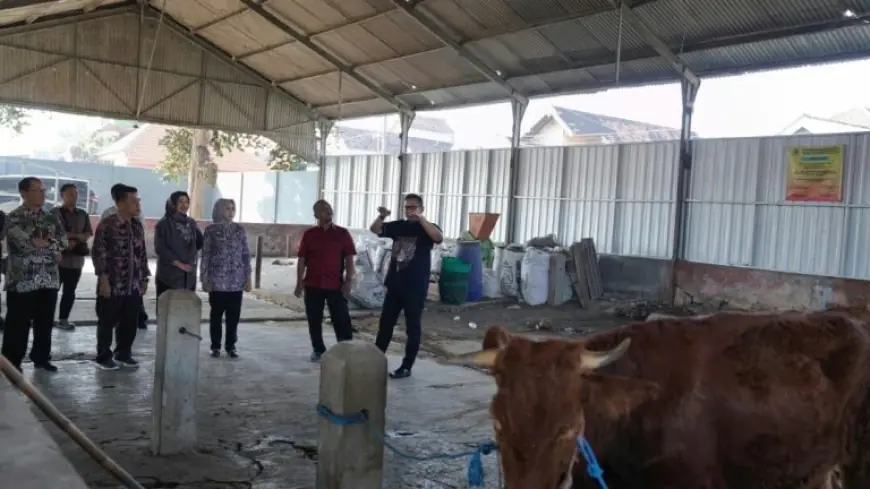 Jelang Idul Adha, Pj Wali Kota Mojokerto Cek Kondisi Kesehatan Hingga Pemotongan Hewan