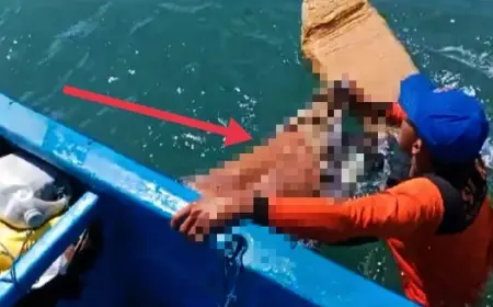 Seorang Wisatawan Meninggal Tergulung Ombak Pantai Payangan Jember
