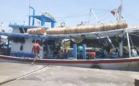 Pemilik Perahu Panen Cuan Ketika Hiu Tutul Muncul di Perairan Probolinggo