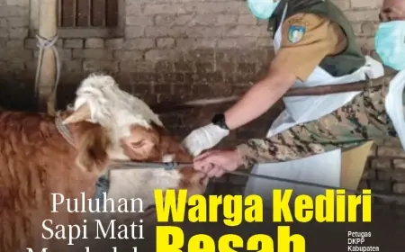 eKoran, Edisi Selasa, 4 Juni 2024