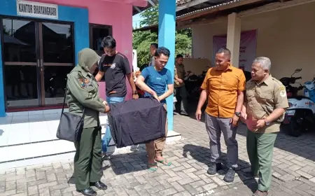 Bawa Burung Beo Satwa Dilindungi, Warga Jember Ditangkap Polisi