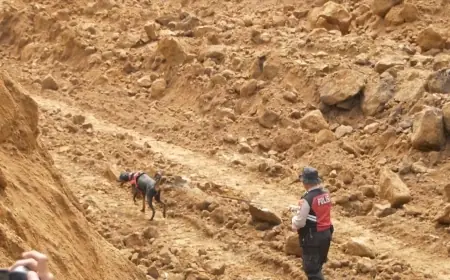 Cari Penambang Pasir Tertimbun Longsor, Tim SAR Kerahkan Alat Berat dan Anjing Pelacak