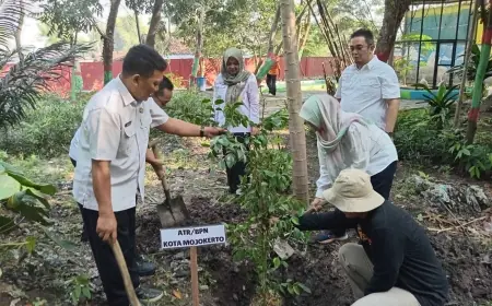 Peringatan Hari Lingkungan Hidup Sedunia, Inilah Langkah Konkret DLH Bersama Instansi Terkait