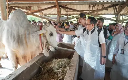 Jelang Idul Adha, Bupati Lamongan Siapkan Stok Hewan Kurban Sehat  Aman