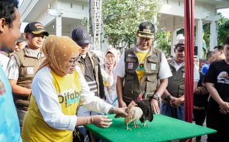 Jelang Idul Adha 1445 H, Bupati Lamongan Terjunkan Ratusan Tenaga Kesehatan Hewan Kurban