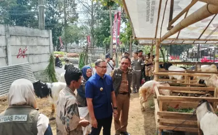 Jelang Idul Adha, Pemkot Batu Salurkan Vitamin dan Cek Kesehatan Hewan Kurban