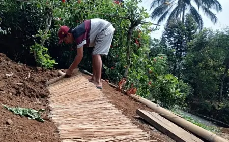 Jelang Idul Adha 2024, Pengusaha Tusuk Sate di Jombang Akui Ada Peningkatan Penjualan