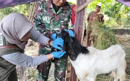 DPKH Kabupaten Pasuruan Cek Kelayakan Hewan Kurban Jelang Idul Adha