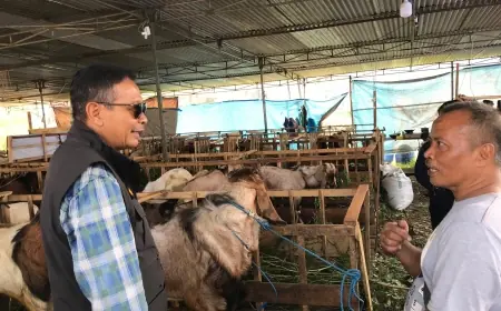Jelang Iduladha, Pj Wali Kota Malang Tinjau Lapak Hewan Kurban