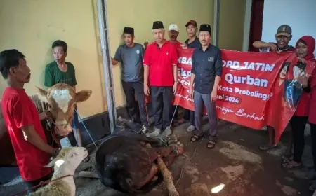 Salurkan Hewan Kurban dari DPD, DPC Kota Probolinggo: Bentuk Hadirnya PDI Perjuangan kepada Wong Cilik