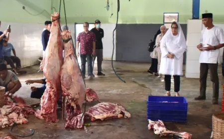 Pastikan Kelayakan Hewan Kurban, PJ Wali Kota Kediri Tinjau RPH Pojok