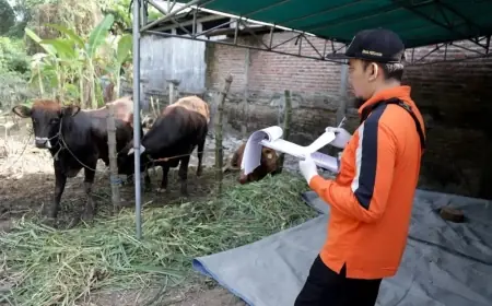 Pj Wali Kota Mojokerto Pastikan Semua Hewan Kurban Sehat dan Layak Disembelih
