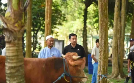 Berkah Melimpah, ITN Malang Gelar Qurban dan Sholat Idul Adha