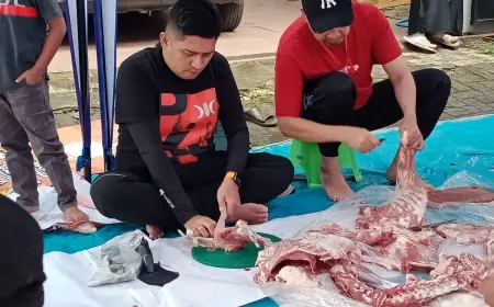 Maknai Idul Adha 1445 Hijriah, DPC PKS Lowokwaru Sembelih 4 ekor Sapi, dan 9 ekor Kambing