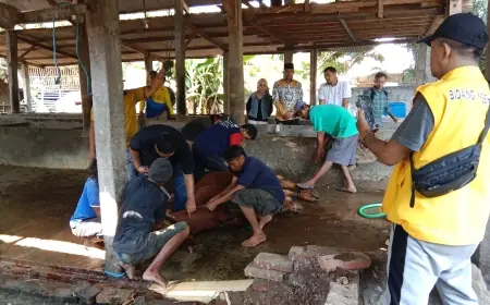 DPD Golkar Jombang Potong 4 Ekor Sapi dan 6 Ekor Kambing Pada Iduladha 2024