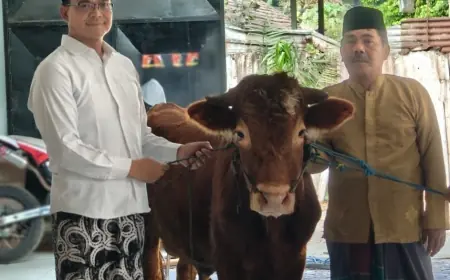 Semangat Rahmatan Lil Alamin, Mas Dwi Sembelih Sendiri Sapi Qurban