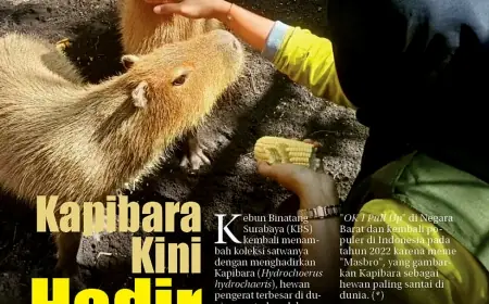 eKoran, Edisi Senin, 24 Juni 2024