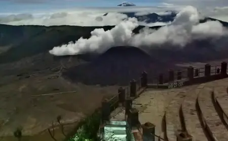 Kebakaran Lahan di Kawasan Bromo Hanguskan Vegetasi Seluas 50 Hektar