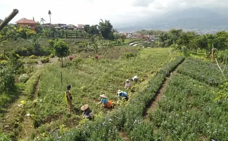 DPKP Kota Batu Bakal Recruitmen Petani Milenial