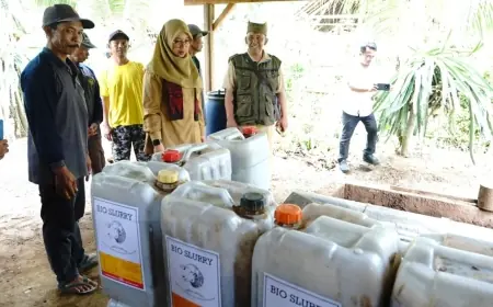 Cara Kreatif Peternak Banyuwangi Kelola Limbah Jadi Biogas dan Pupuk Organik