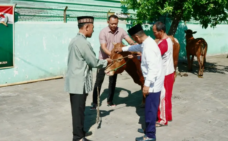 Perkuat Kepedulian Sosial dalam Iduladha, Danrem 084/BJ Berkurban 2 Sapi dan 6 Kambing