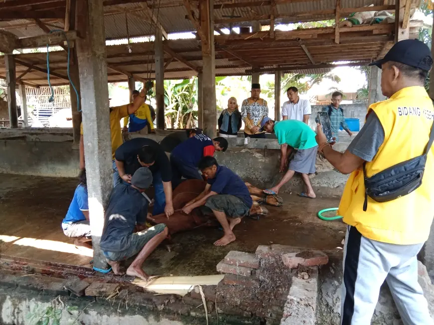 DPD Golkar Jombang Potong 4 Ekor Sapi dan 6 Ekor Kambing Pada Iduladha 2024