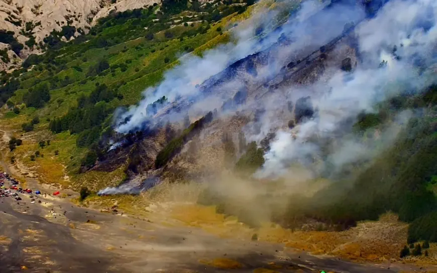 Lagi, Kebakaran Lahan Terjadi di Bromo, Merembet Sampai ke Gunung Batok