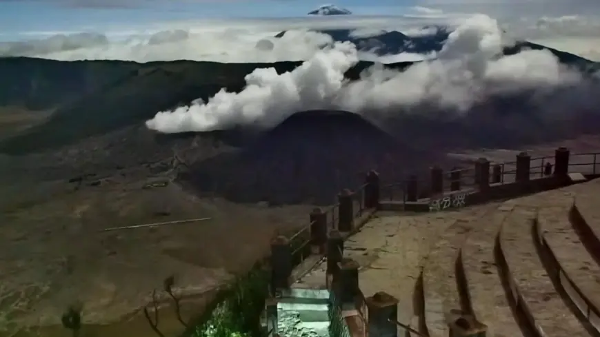 Kebakaran Lahan di Kawasan Bromo Hanguskan Vegetasi Seluas 50 Hektar