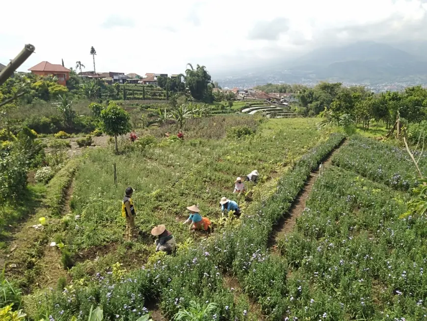 DPKP Kota Batu Bakal Recruitmen Petani Milenial