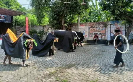 Mengenal Kesenian Bantengan DJ: Antara Tradisi, Mistis, dan Modernitas