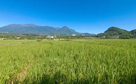 Lahan Hijau Menyempit, Kota Batu Butuh Program Masif untuk Pertanian