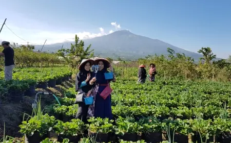 Pertengahan Tahun, Wisatawan Kota Batu Belum Capai Setengah Dari Target