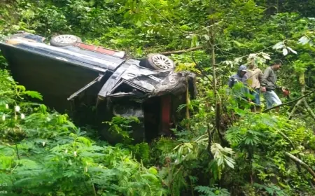 Hati-Hati Melintasi Gunung Gumitir, Pikap Jatuh ke Jurang Sedalam Puluhan Meter