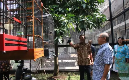 UM Green Campus Bersama FIS UM Lakukan Konservasi Fauna Burung Langka