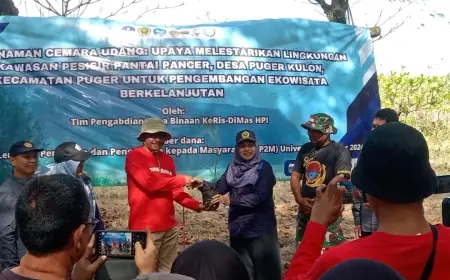 Majukan Wisata Jember Asri, Tim Desa Binaan UNEJ Tanam Ratusan Pohon Cemara Pinggir Pantai Puger