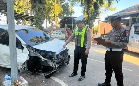Adu Banteng Dua Mobil Jalan Raya Pendem