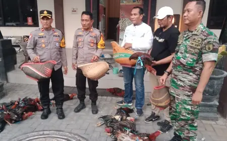 Grebek Judi Sabung Ayam Belakang Ponpes di Jombang, Polisi Amankan 13 Orang