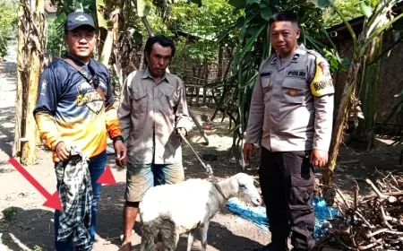 Warga Pesisir Paseban Jember Digemparkan Kambing Dalam Sarung