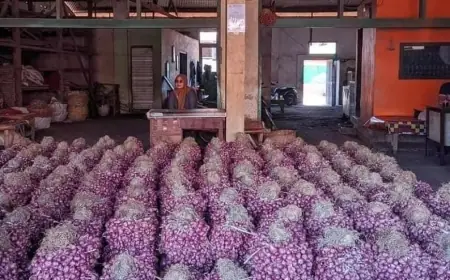 Harga Bawang Merah di Probolinggo Anjlok, Ditengarai Karena Penen Besar-besaran