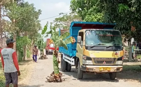 Jalan Rusak Tak Kunjung Diperbaiki, Warga Tanjunganom Nganjuk Tanam Pohon Pisang di Tengah Jalan