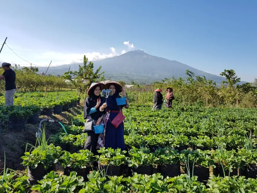 Pertengahan Tahun, Wisatawan Kota Batu Belum Capai Setengah Dari Target