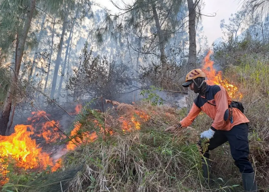 BTT Pemkot Batu Kembali Menyusut