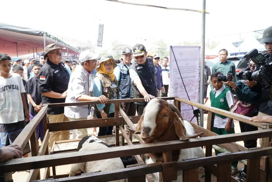 Pemkab Lamongan Sukses Gelar Kontes Domba Bupati Cup