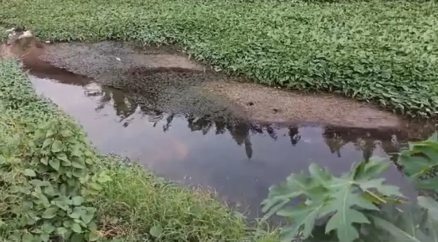 Gudang Sampah Plastik dan Rumah Produksi Daur Ulang Diduga Cemari Sumur Warga