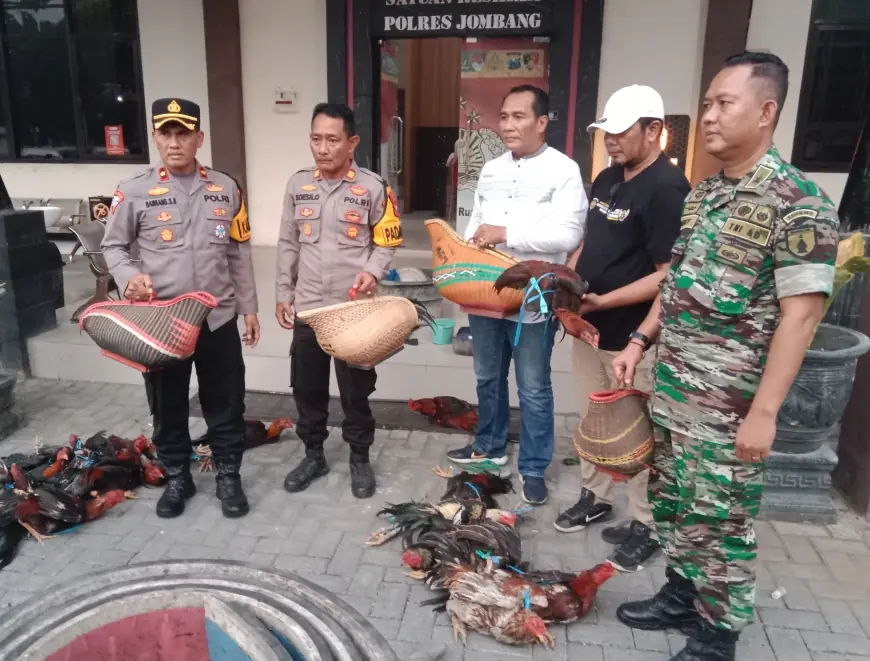 Grebek Judi Sabung Ayam Belakang Ponpes di Jombang, Polisi Amankan 13 Orang