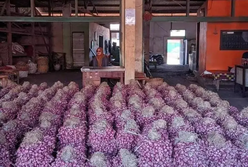 Harga Bawang Merah di Probolinggo Anjlok, Ditengarai Karena Penen Besar-besaran