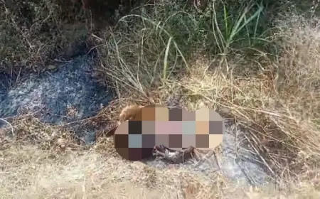 Mayat Laki-Laki Tanpa Identitas Kondisi Terbakar Gemparkan Desa Sangganom