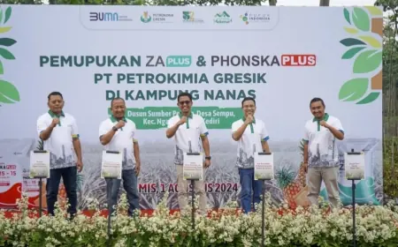 Luncurkan Program Kampung Makmur Komoditas Nanas Cara Petrokimia Gresik Wujudkan Pertanian Terintegrasi