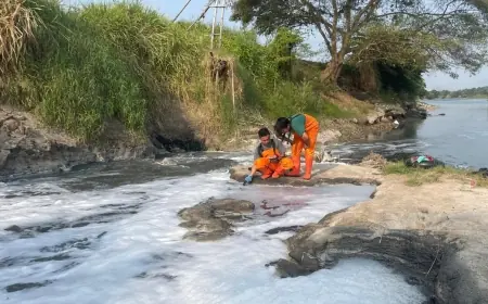 Dari Sumber Kehidupan Menjadi Sumber Krisis Ekologis: MA Tolak Kasasi Gubernur Jatim Soal Pencemaran Sungai Brantas