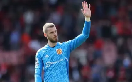 Lama Nganggur, De Gea Akhirnya Berlabuh ke Fiorentina
